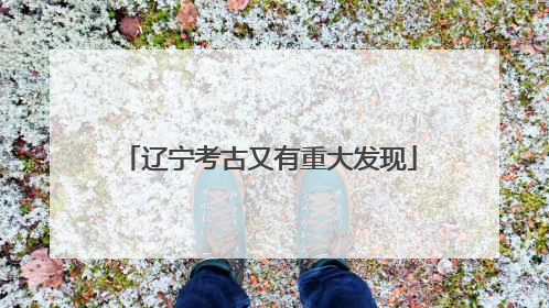 辽宁考古又有重大发现